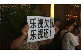 现金白条反催收：揭秘背后的风险与应对策略
